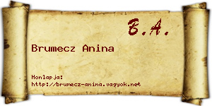 Brumecz Anina névjegykártya